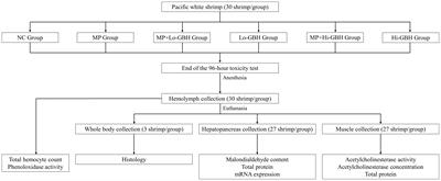 Aged polyethylene microplastics and glyphosate-based herbicide co-exposure toxicity in Pacific white shrimp (Litopenaeus vannamei)